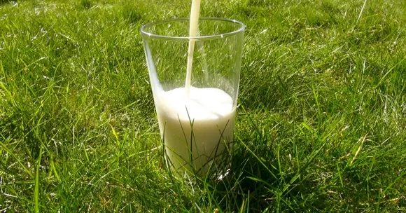 This Hand-held Device Will Identify Adulterated Milk in Less Than a Minute