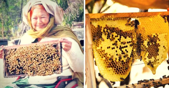 Disabled and Poor, How Sangeeta Deol Still Revolutionized Farming in Punjab
