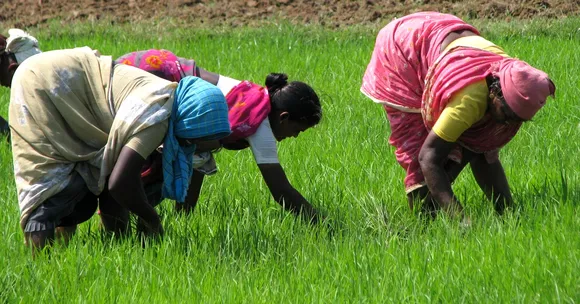 Banks of Ganga, Highways in Bihar All Set to Get Organic Farm Corridors