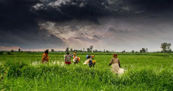 5 Innovative Ways for Farmers to Fight Pests Without Using Any Chemicals