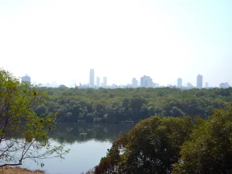 NGO & School Students Come Together to Clean Mumbai's Mangrove Forest