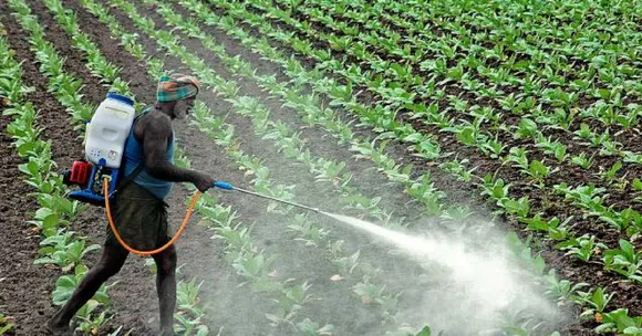 Maharashtra Cracks Down on Chemicals, Farmers to Get 'Prescriptions' for Pesticides
