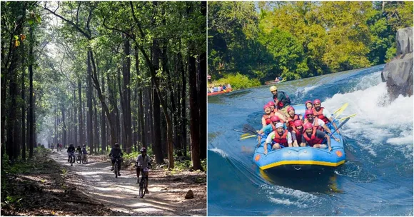 Skip the Forced Tiger Safaris and Try These 6 Unique Forest Experiences