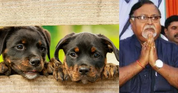 This Bengal Minister's Heartwarming Homage to His Late Wife is a Pet Hospital!