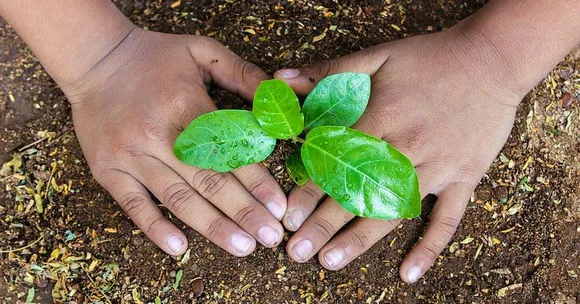 Kitchen Gardens All Set to Make Uttar Pradesh's Schools Green and Healthy