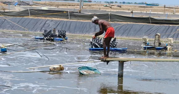 This IIT Alumnus Has Changed the Lives of More Than 600 'Aquafarmers'. Here’s How!
