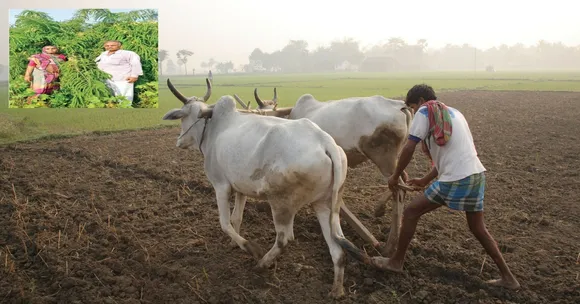 How This Farmer Couple Used Israeli Technology to Double Their Produce!