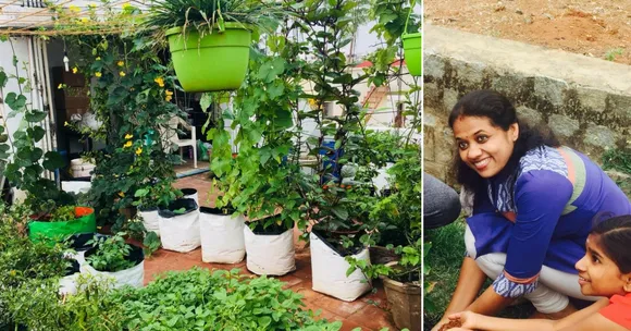Using No Pesticides, This Lady Grows Over 34 Veggies & Fruits on Her Rooftop!