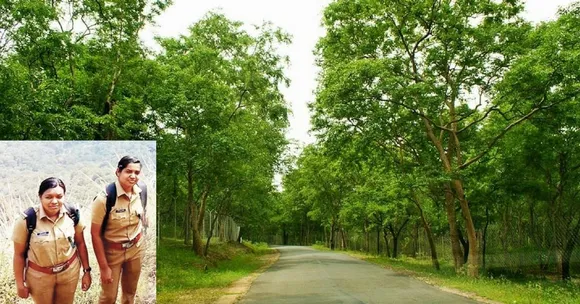 Guarding Kerala's Sandalwood: These Women Prove It's Not Just a Man's Job