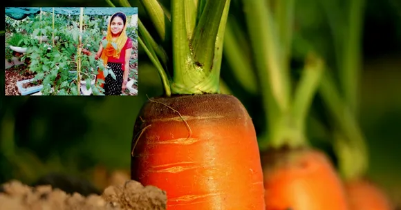 This Amazing 11-Year-Old Girl Transformed Her Courtyard Into a Lush Vegetable Garden!