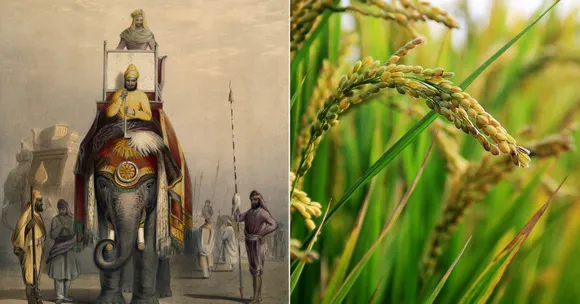 The British Took These Wild Plants to London. Now They Are Coming Back!