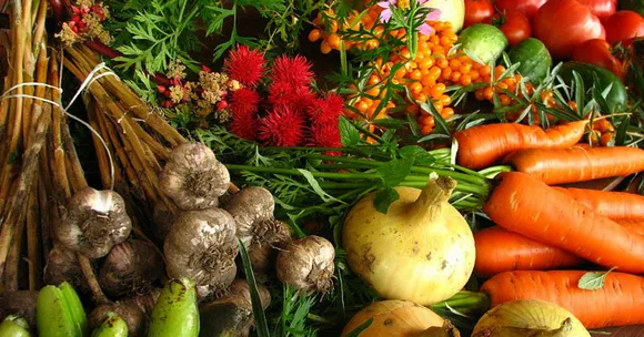 To Give Patients a Healthy Diet, This Doctor Grows His Own Organic Vegetables