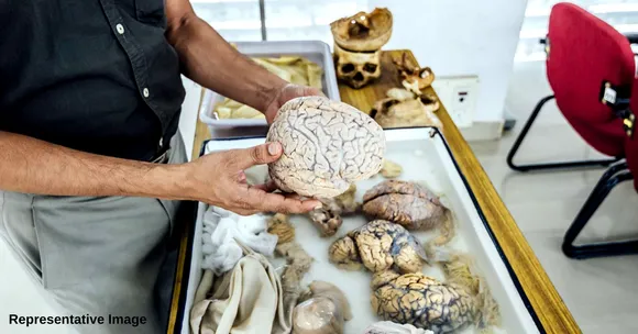 In Haryana, An 'Indian Brain Template' Is Being Made: All You Need To Know