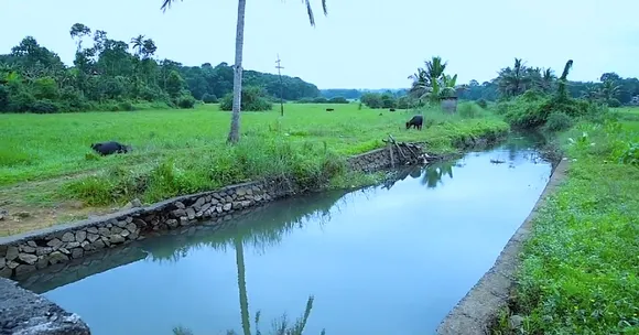 This May, Kottayam Will Join Hands & Hearts to Revive Its Precious 'Lifelines'!