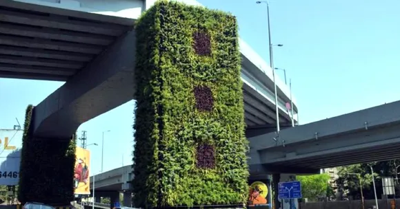 Greening 'Up': Pune to Grow Vertical Gardens on Its Metro Pillars!
