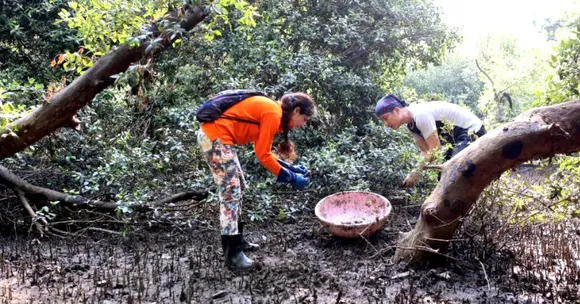 A Green Future: 4 Times Mumbai Came Together to Restore Its Oxygen Chambers!