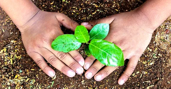 Kerala Students Turn Guardians of Greenery, Save 295 Trees from Being Axed!