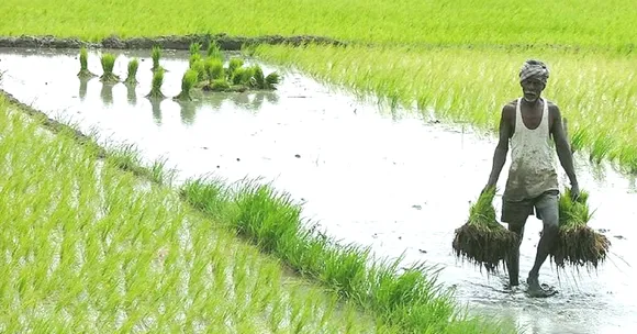 This Organic Gardener Journeyed Across India's Farms & Discovered These Secrets!