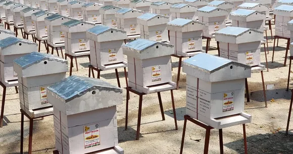 KVIC Sets 'Honey Mission' World Record, Gives 1000 Bee-Boxes to Kaziranga Tribals!