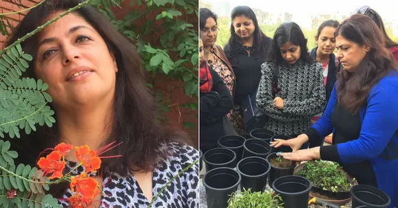 Plant Your Plate: Gurugram Lady Transforms Wasteland into Lush 'Edimental' Garden!