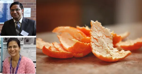 IIT Folks Find New Uses for Orange Peel — Recycling Waste & Cleaning Oil Spills!