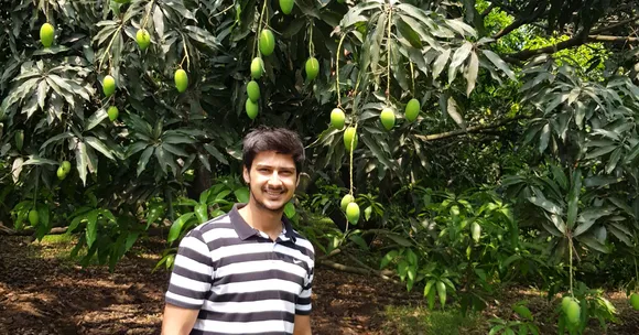Earning in Lakhs, This 23-YO Engineer is UP's Sole Certified Organic Mango Farmer!