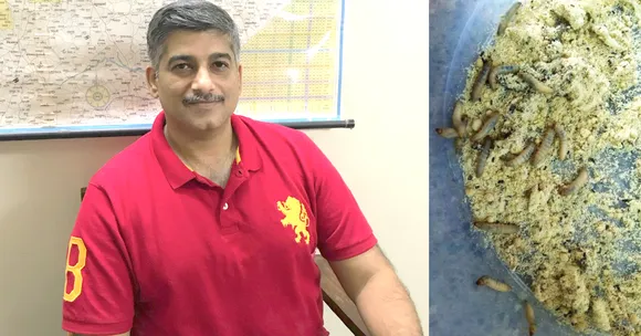 Pune Man May Have Found Solution to Trash Troubles: Caterpillars That Munch Plastic!