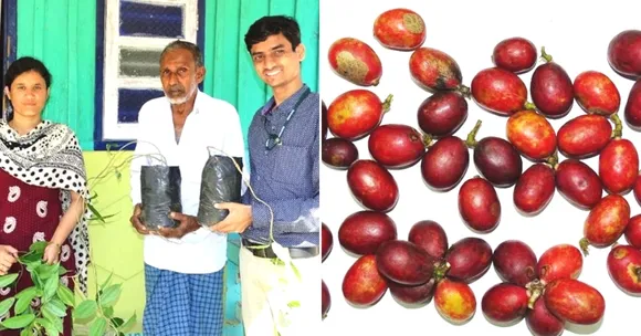 Indian Scientists Create Natural & Nutritious Food Dye From Wild Blood Fruit!