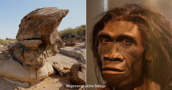 11 Million-YO Ape Fossil Discovered in Gujarat: Here Is Why It's a Momentous Find!