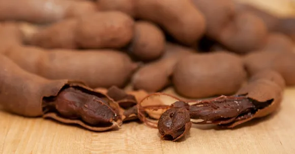 IIT Roorkee Investigates Tamarind Seeds, Discovers Potential Cure for Chikungunya