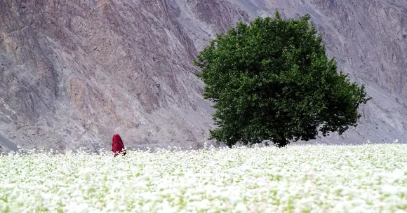 Indians Are World's Most Vacation-Deprived, Says Survey: 5 Getaways That Can Fix This!