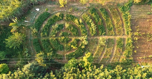 A Farm That Will Live Forever: Meet the Couple Teaching This Special Technique!