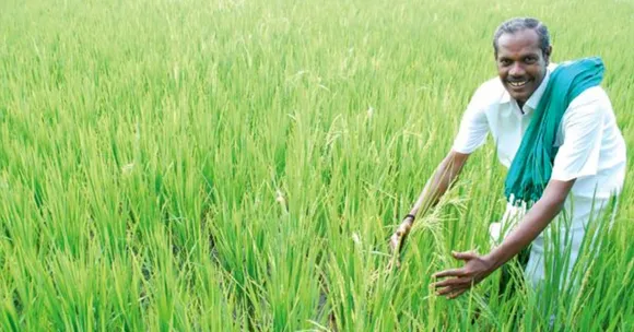 Tribute: 'Nel' Jayaraman, The Crusader Who Revived 170+ Native Paddy Varieties!