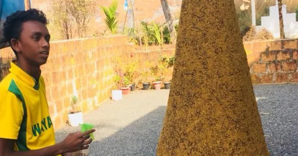 Using Bamboo, Millets & Dirt, Kerala Student Grows an ‘Evergreen’ Christmas Tree!