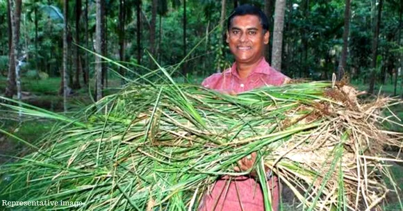 Traditional 'Wonder Grass' Helps TN Farmer Earn Rs 1.5 Lakh Profit per Acre of Land!