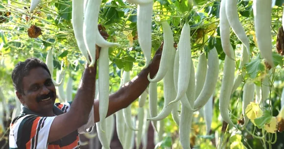 From Home to Police Station, This Kerala Cop's Green Thumb is Reaping Rich Harvests
