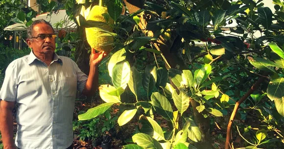 Working for 35 Years, Ex-Banker Grows Lush 2 Acre Forest in the Middle of Kochi!