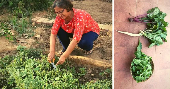 Zero Waste to Organic Food: Ahmedabad Lady's Toxin-Free Home Will Inspire You!