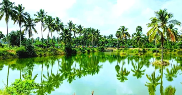 One Man's Efforts Ensured That This TN Village Doesn't Rely on Borewells Anymore!