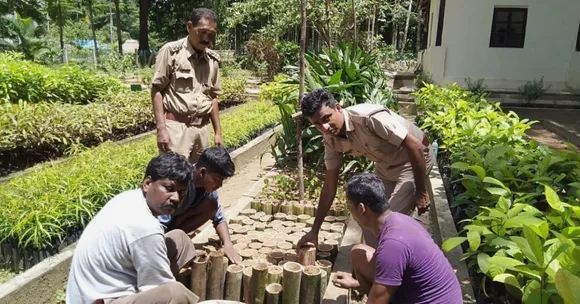 Andaman IFS Officer Replaces Plastic in Dept. Nursery; Uses Bamboo to Plant 500 Saplings!