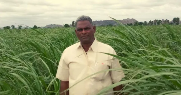 What Doesn't Kill You Makes You Organic: 2 Close Calls Turn Man To Natural Farming