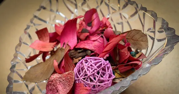 Your Air Freshener May Be Toxic! 6 Organic Ways to Keep the Home Smelling Fresh