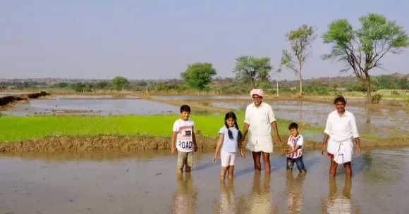 Here's Why This Telangana Couple's Organic Mangoes & Native Rice Is Making Waves!