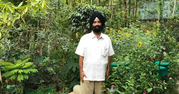 Grown Over 35 Years, Chennai Man's Home Forest Has 350+ of India's Rarest Plants!