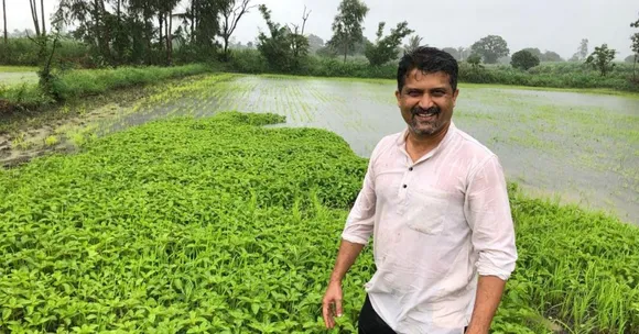 B'luru Engineer Turns Weekend Farmer, Earns Lakhs by Selling Naturally Grown Crops