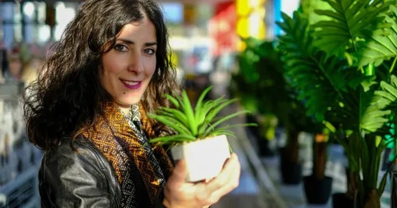 5 Easy-To-Grow Plants in Your Garden That Will Boost Your Health!