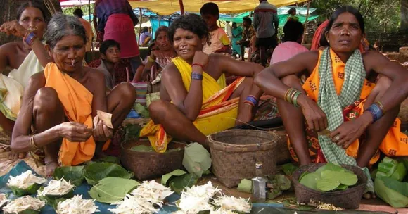 How to Save Forest Culture? 'Silent' Battle by Odisha's Kondhs is The Right Lesson