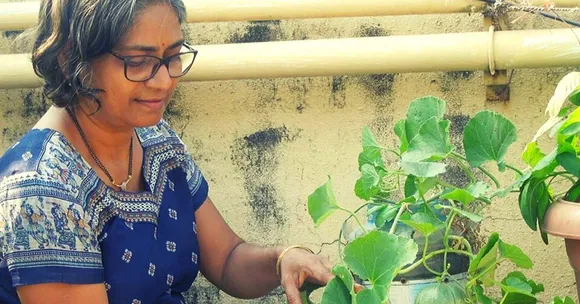 After Friend's Son Gets Cancer, Mumbai Lady Grows Food Forest in 3x6 Ft Balcony!