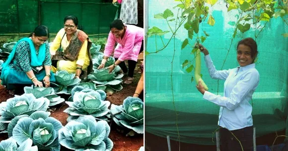 Come Rain or Shine, Here's How You Can Grow Organic Veggies in Mumbai