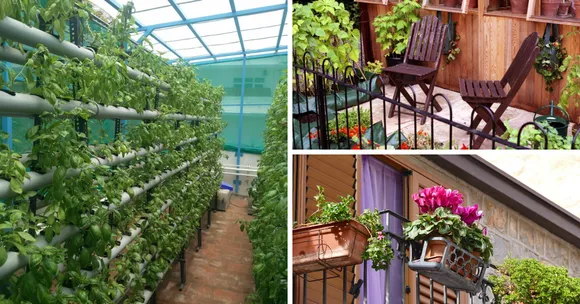 Experts Answer: How To Start Your Own Terrace Garden